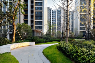 DSC_2482-HDR-编辑 拷贝 2.jpg