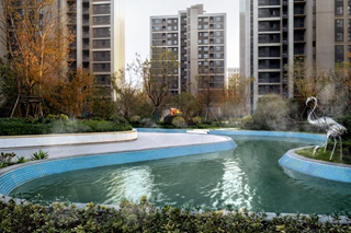 DSC_2983-编辑 拷贝.jpg