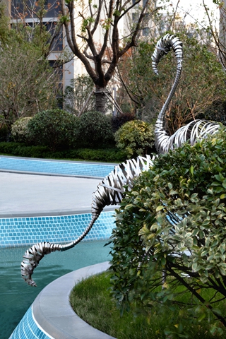 DSC_2987-编辑 拷贝.jpg